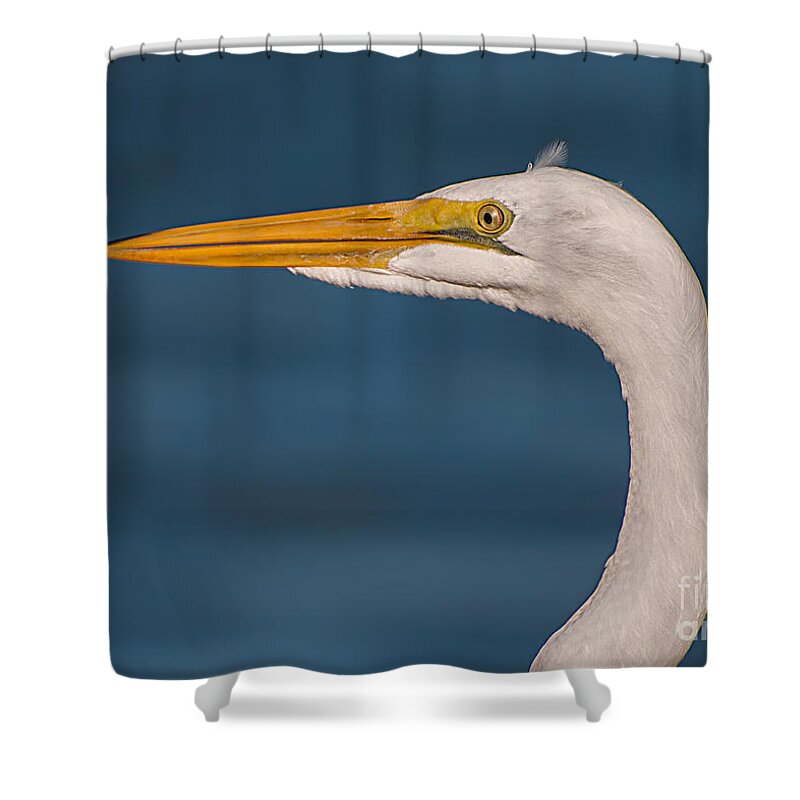 Great Shower Curtain featuring the photograph Great Egret Portrait by Photos By Cassandra