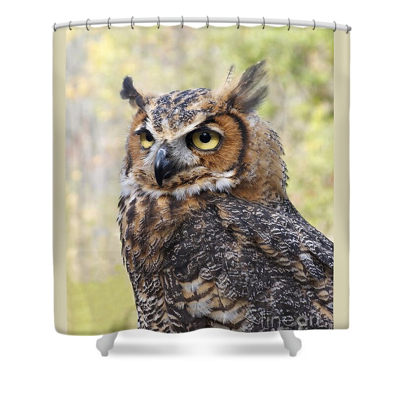 Owl Shower Curtain featuring the photograph Great Horned Owl by Ann Horn