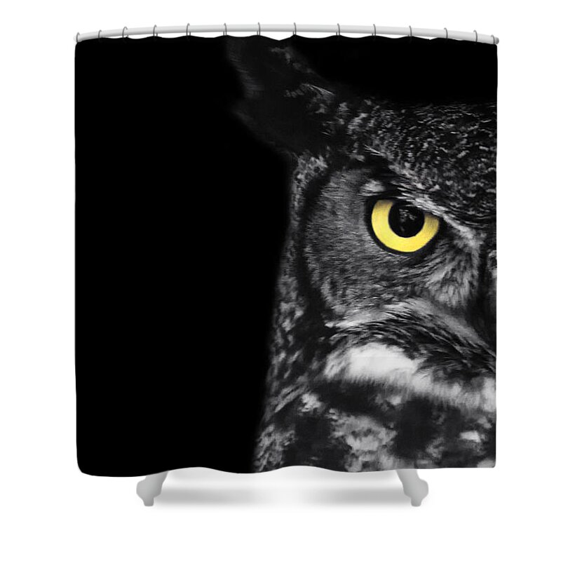 Great Horned Owl Shower Curtain featuring the photograph Great Horned Owl Photo by Stephanie McDowell