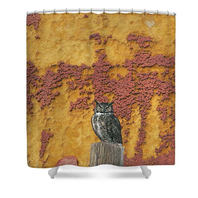 Feb0514 Shower Curtain featuring the photograph Great Horned Owl Tule Lake Nwr by Kevin Schafer