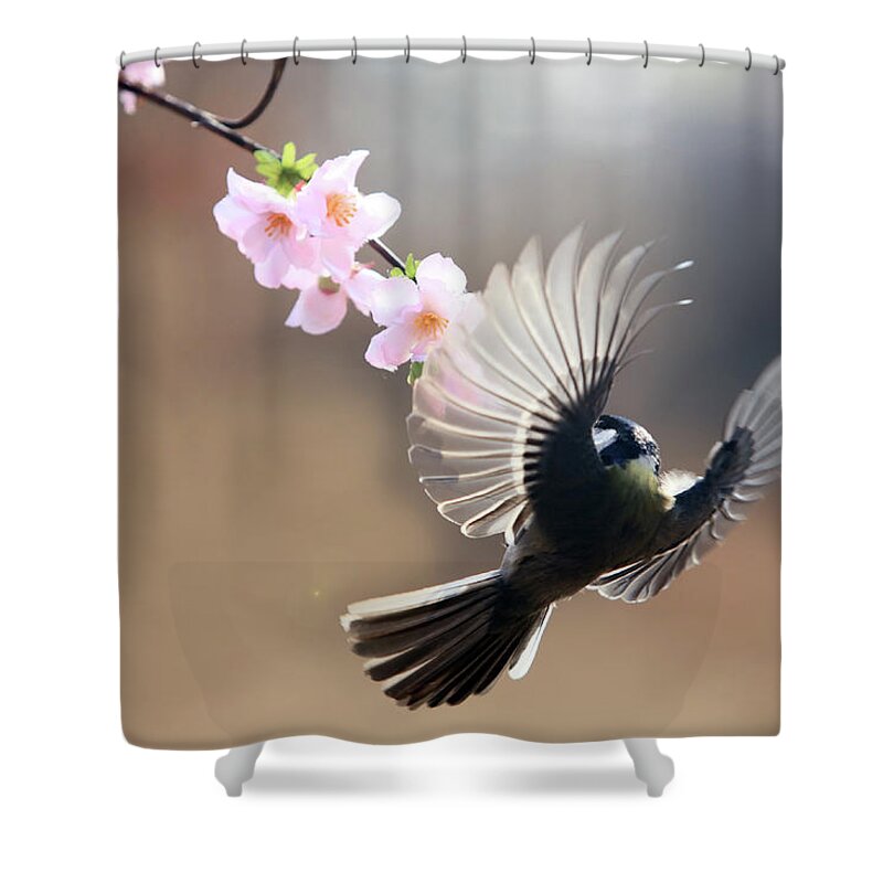 Songbird Shower Curtain featuring the photograph Great Tit by By Giseong Na