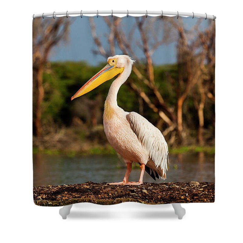 Pelican On Water Fleece Blanket by Bob Van Den Berg Photography