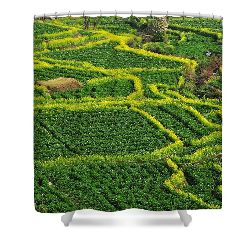Tranquility Shower Curtain featuring the photograph Green And Yellow Field by Melindachan