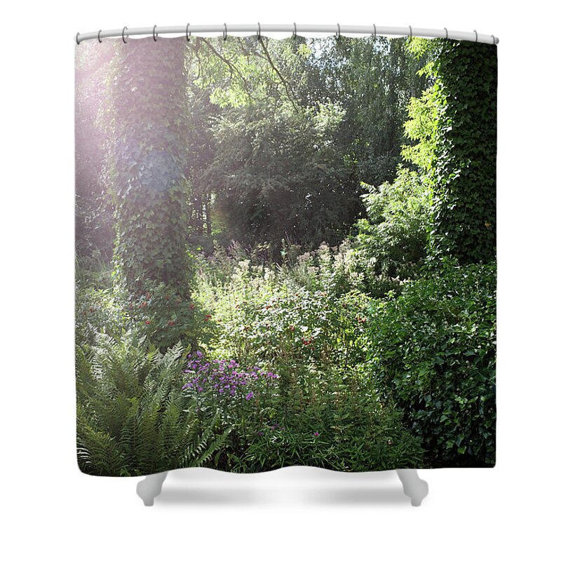 Tranquility Shower Curtain featuring the photograph Green Border In The Sun by Marcel Ter Bekke