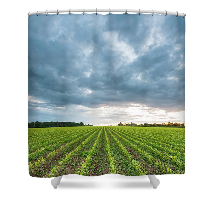 England Shower Curtain featuring the photograph Green Crop Field Sunset by Chrishepburn