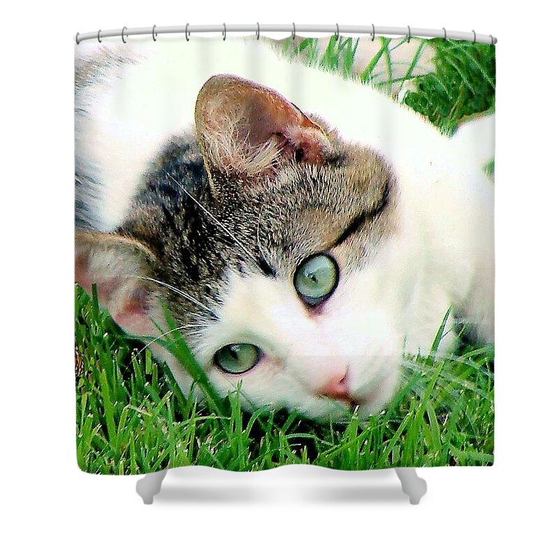 Green Eyed Cat Photograph Shower Curtain featuring the photograph Green Eyed Cat by Janette Boyd