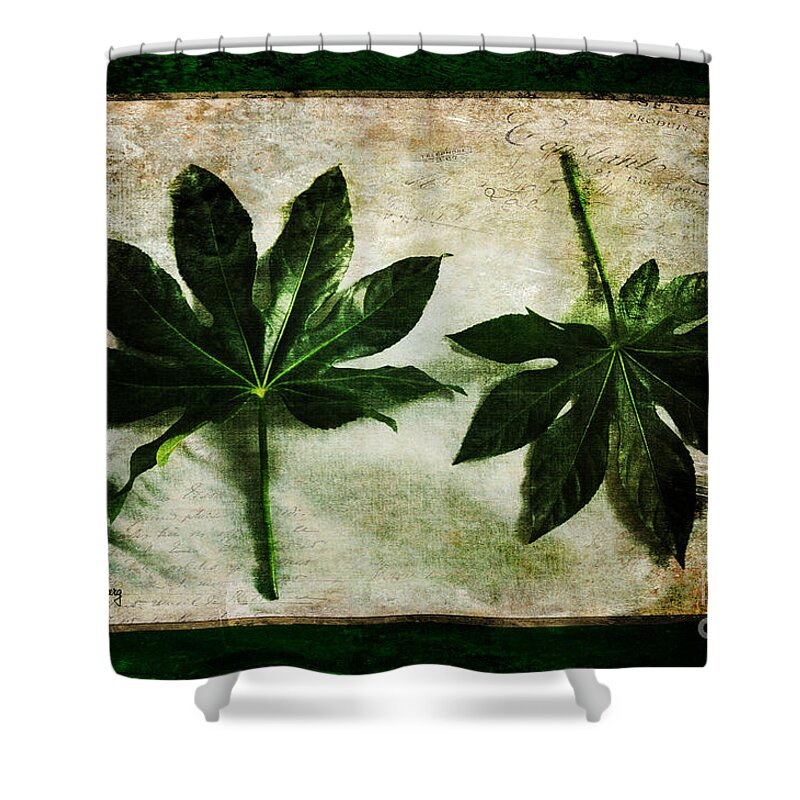 Leaf Shower Curtain featuring the photograph Green Leaves by Randi Grace Nilsberg