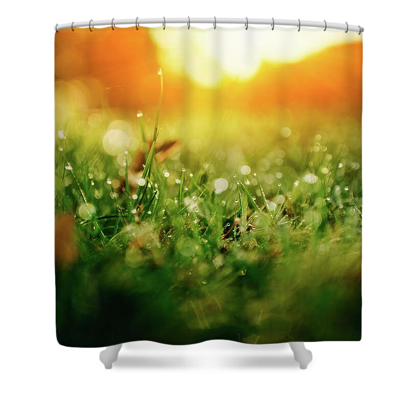 Putting Green Shower Curtain featuring the photograph Green Nature by Ppampicture