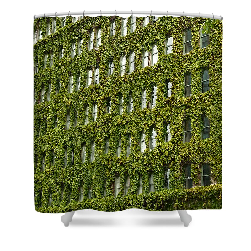Green Shower Curtain featuring the photograph Green Oasis by Connie Handscomb