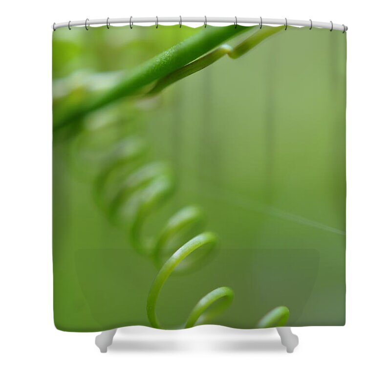 Macro Shower Curtain featuring the photograph Green Spiral Macro by Jenny Rainbow