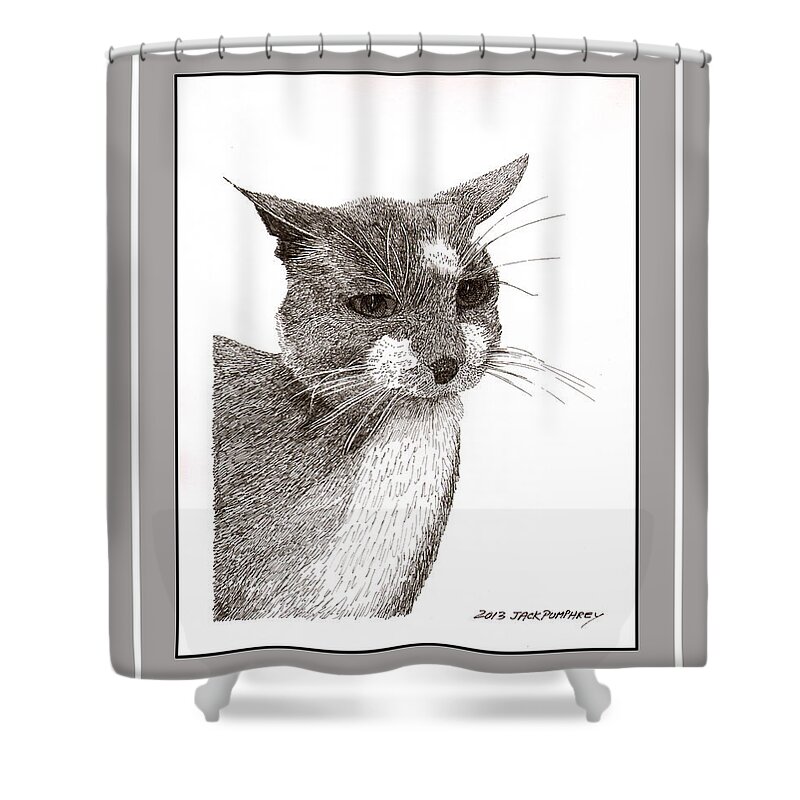 Jack's Ink Drawing Of Grey Cat Number Twelve Shower Curtain featuring the drawing Grey cat number 12 by Jack Pumphrey