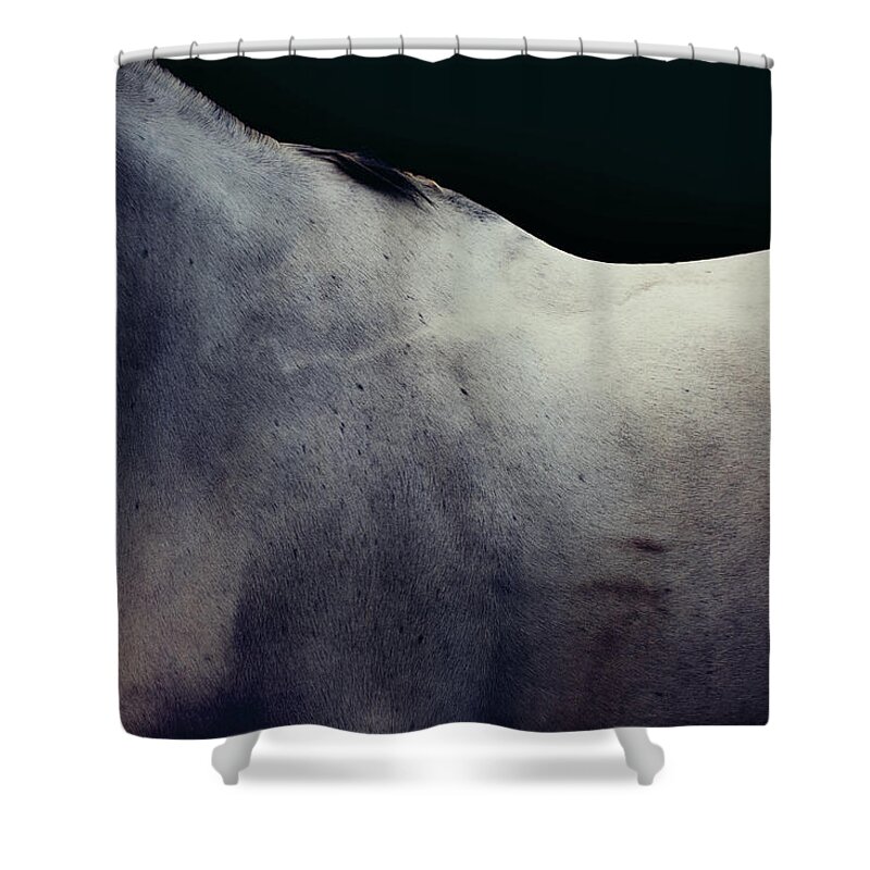 Animal Skin Shower Curtain featuring the photograph Grey Horse Fine Art by Luca Sage