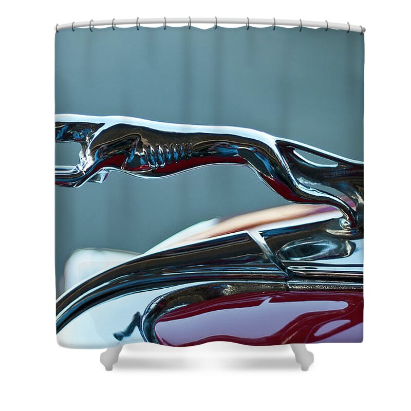 Greyhound Shower Curtain featuring the photograph Greyhound Hood Ornament by Ron Roberts
