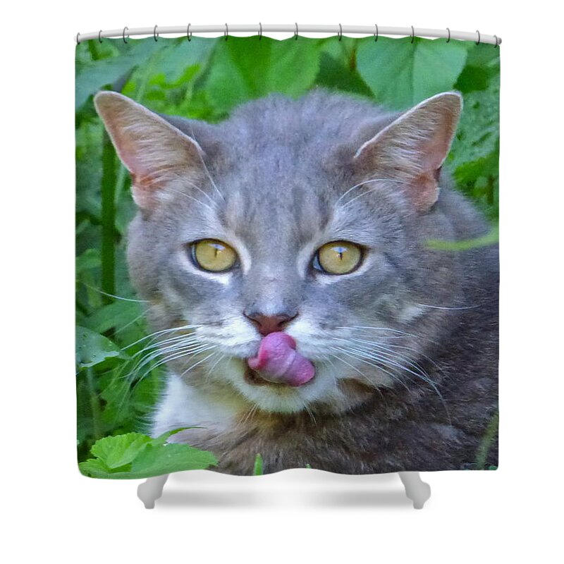 Cat Shower Curtain featuring the photograph Griffin by Jean Wright
