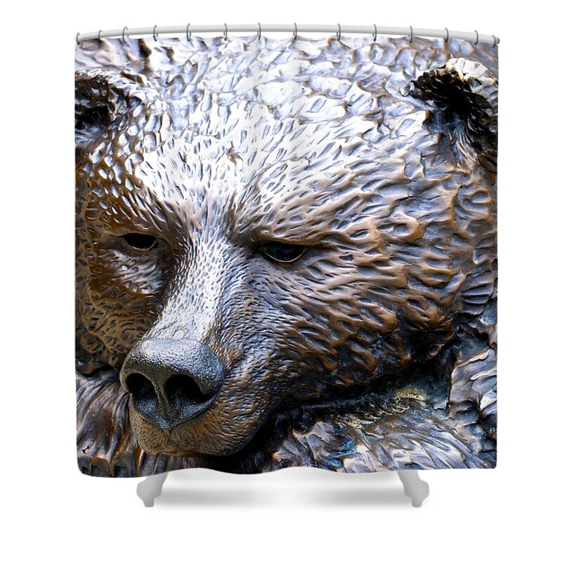 Grizzly Bear Shower Curtain featuring the photograph Grizzly Bear 2 by Norma Brock