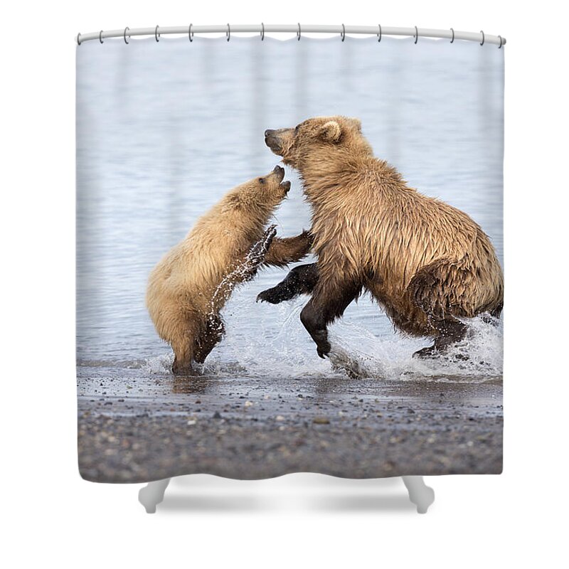 Richard Garvey-williams Shower Curtain featuring the photograph Grizzly Bear Mother Playing by Richard Garvey-Williams