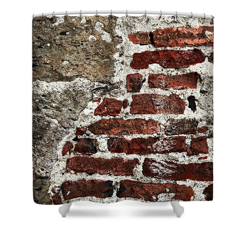 Wall Shower Curtain featuring the photograph Grunge brick wall by Elena Elisseeva
