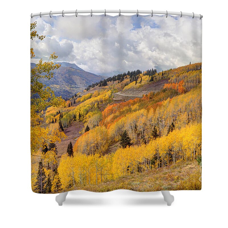 Aspen Shower Curtain featuring the photograph Guardsman Pass Aspen - Big Cottonwood Canyon - Utah by Gary Whitton