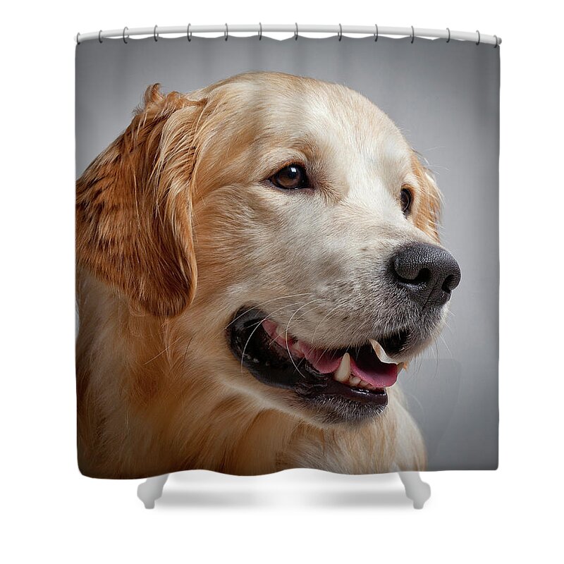 Guide Dog Golden Retriever Puppy Shower Curtain For Sale By