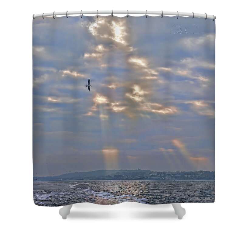 Staten Island Shower Curtain featuring the photograph Gull Heaven by S Paul Sahm