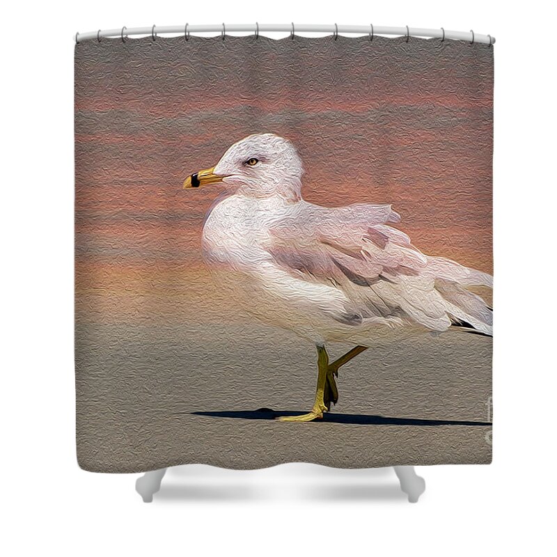 Birds Shower Curtain featuring the photograph Gull OnThe Beach by Kathy Baccari
