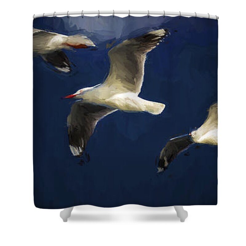 Silver Gulls In Flight Shower Curtain featuring the photograph Gulls up the wall by Sheila Smart Fine Art Photography