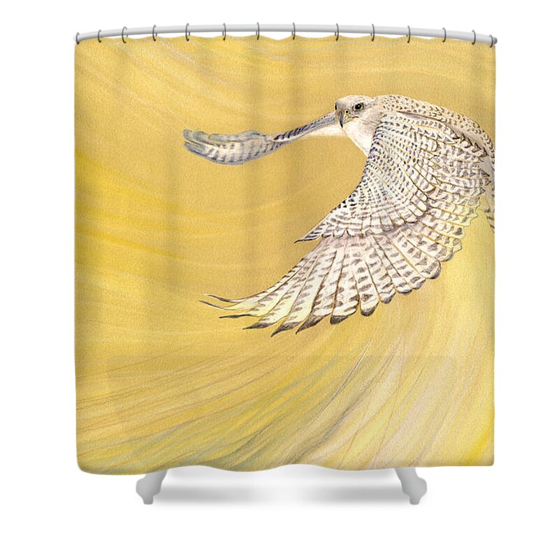 Bird Shower Curtain featuring the drawing Gyrfalcon Gliding into the Light by Robin Aisha Landsong