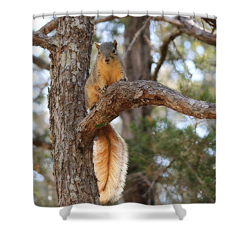  Shower Curtain featuring the photograph Hangin' out by Christy Pooschke
