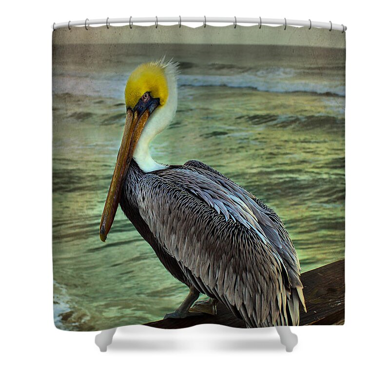 Nature Shower Curtain featuring the photograph Hanging Around by Steven Reed