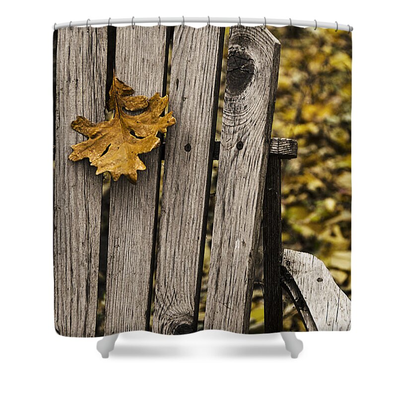 Autumn Shower Curtain featuring the photograph Hanging On by Sandra Parlow