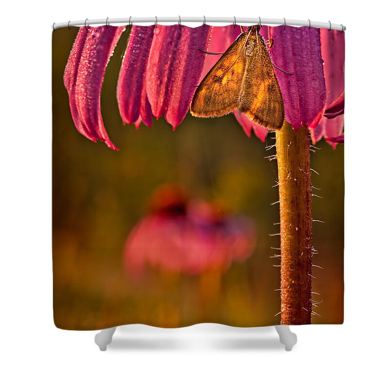 2012 Shower Curtain featuring the photograph Hanging out to Dry by Robert Charity
