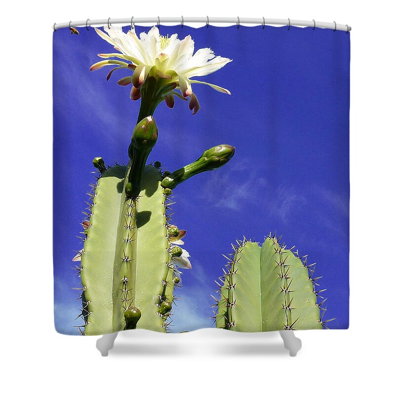 Birthday Shower Curtain featuring the photograph Happy Birthday Card And Print 19 by Mariusz Kula