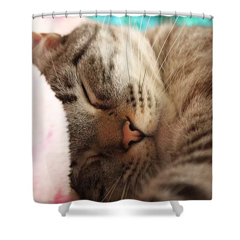 Cat Shower Curtain featuring the photograph Happy Dreams by Amy Gallagher