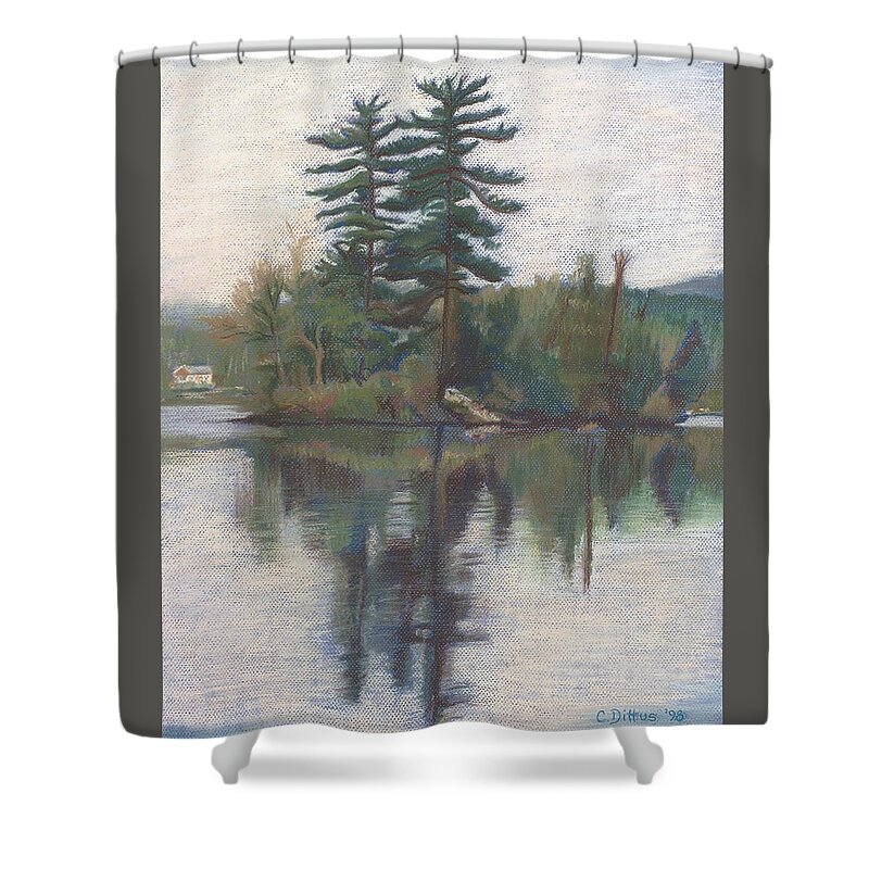 Lake George Shower Curtain featuring the painting Happy Family Island by Chrissey Dittus