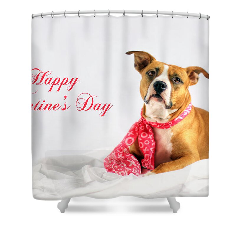 Fifty Shades Shower Curtain featuring the photograph Fifty Shades of Pink - Happy Valentine's Day by Shelley Neff