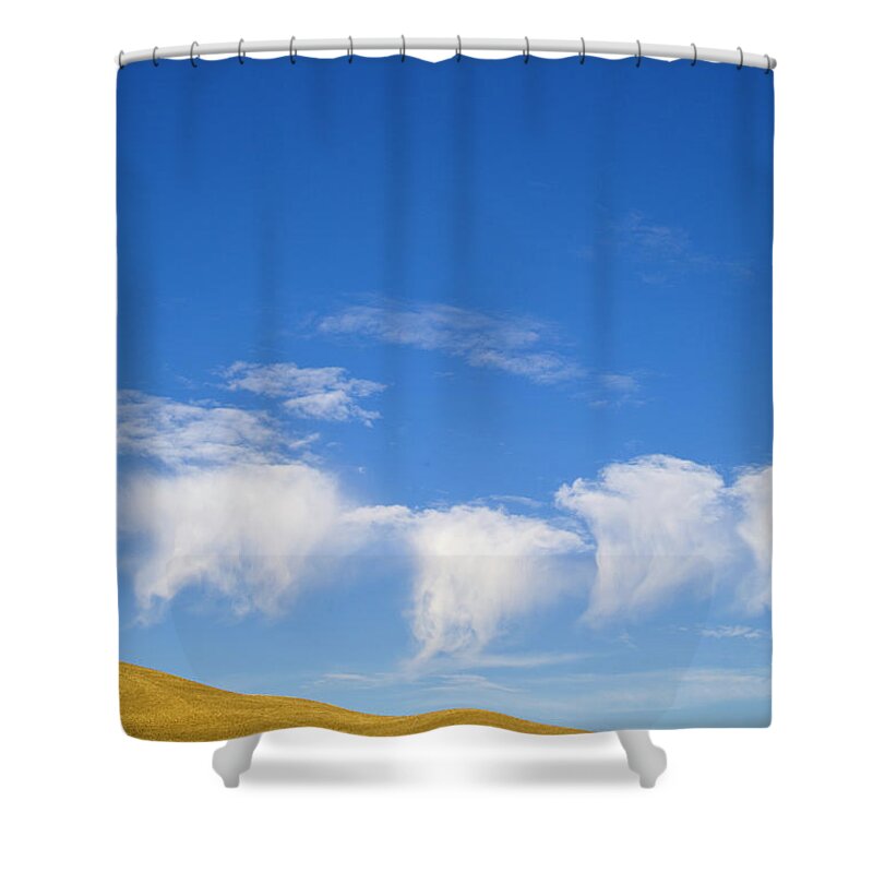 00431173 Shower Curtain featuring the photograph Harvested Wheat Fields Palouse Hills by Yva Momatiuk John Eastcott