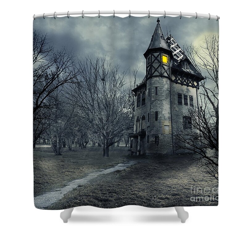 House Shower Curtain featuring the photograph Haunted house by Jelena Jovanovic