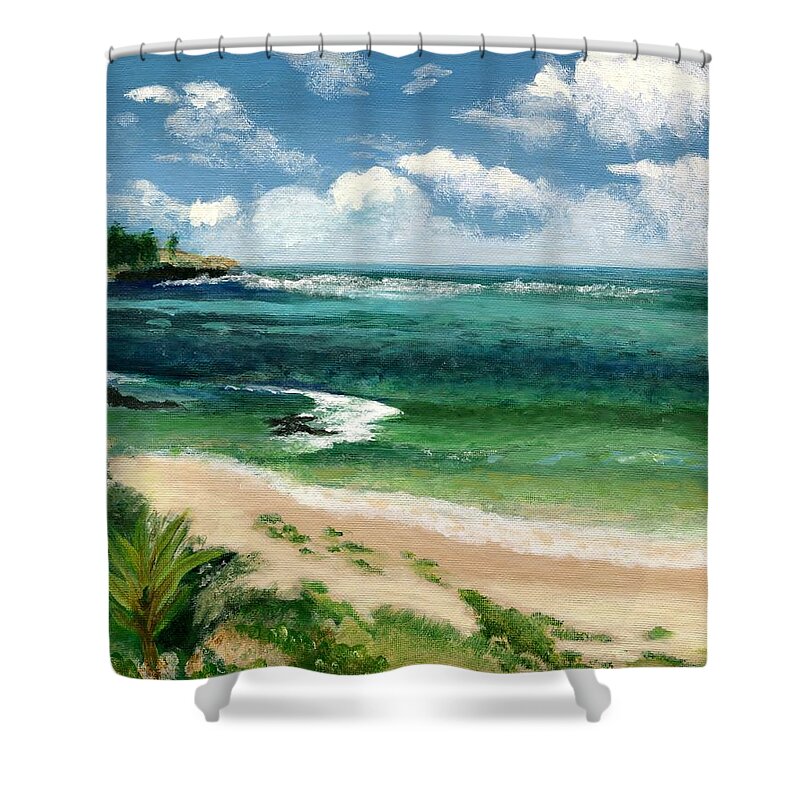 Hawaii Shower Curtain featuring the painting Hawaii Beach by Jamie Frier