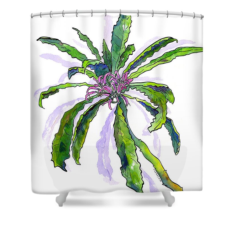 Hawaii Shower Curtain featuring the painting Hawaiian Haha Plant Cyanea Stictophylla by Diane Thornton
