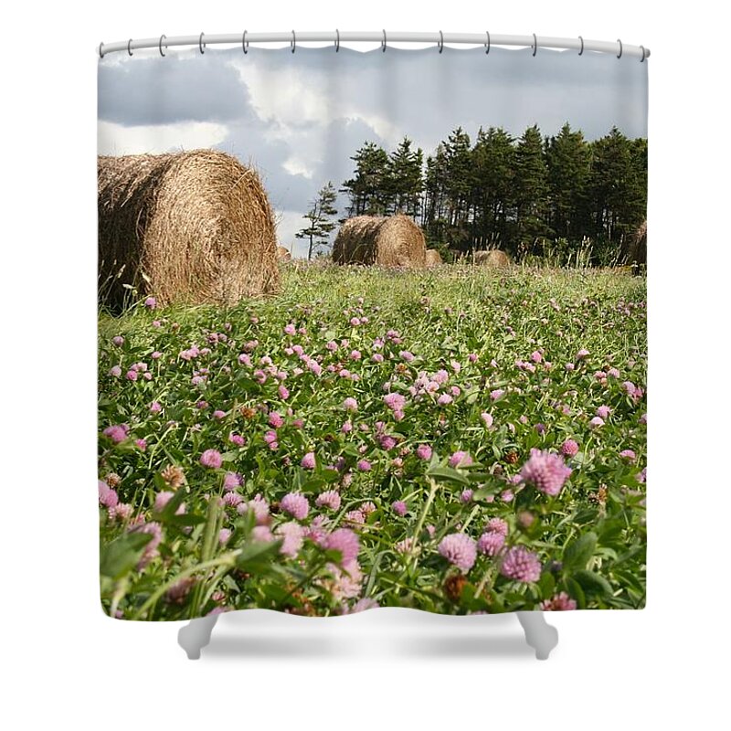 Clover Shower Curtain featuring the photograph Hay field by Allan Morrison
