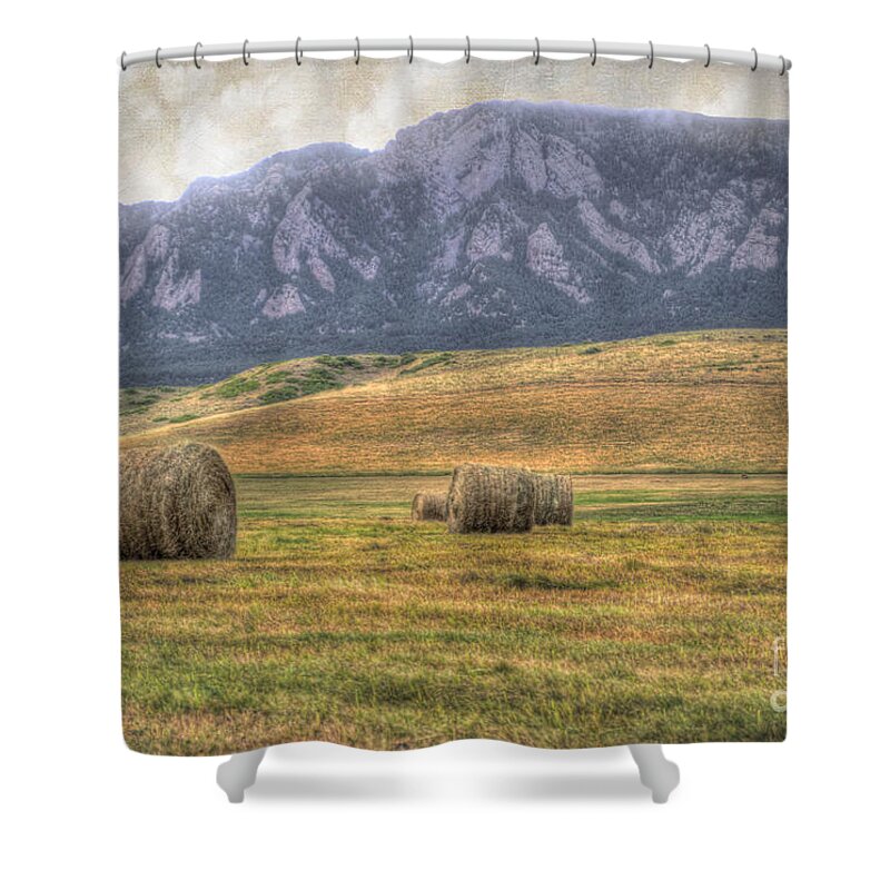 Agriculture Shower Curtain featuring the photograph Hay There by Juli Scalzi