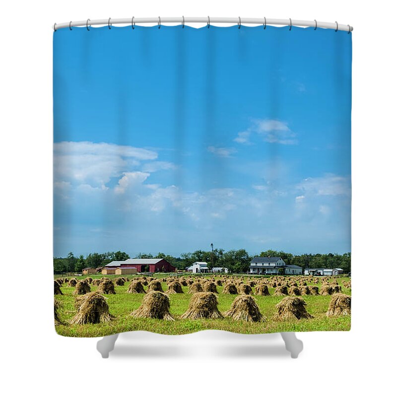 Scenics Shower Curtain featuring the photograph Haystacks Drying In A Field On A Farm by Drnadig