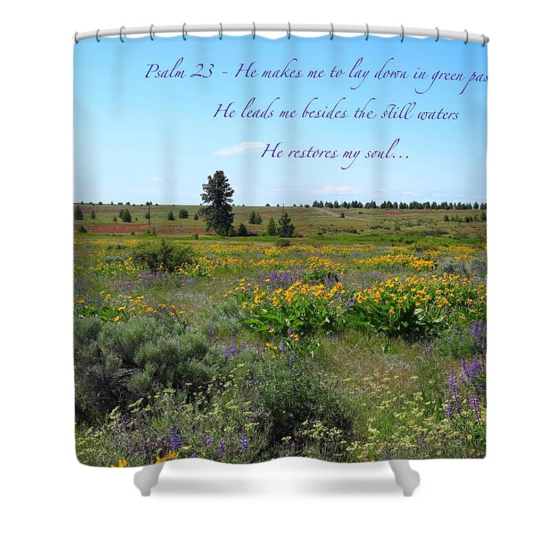 Wildflowers Shower Curtain featuring the photograph He restores my soul by Lynn Hopwood