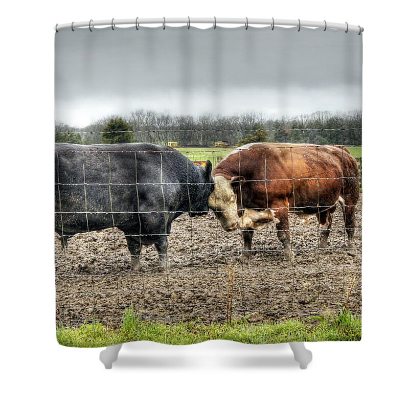 Bull Shower Curtain featuring the photograph Head to Head by Cricket Hackmann