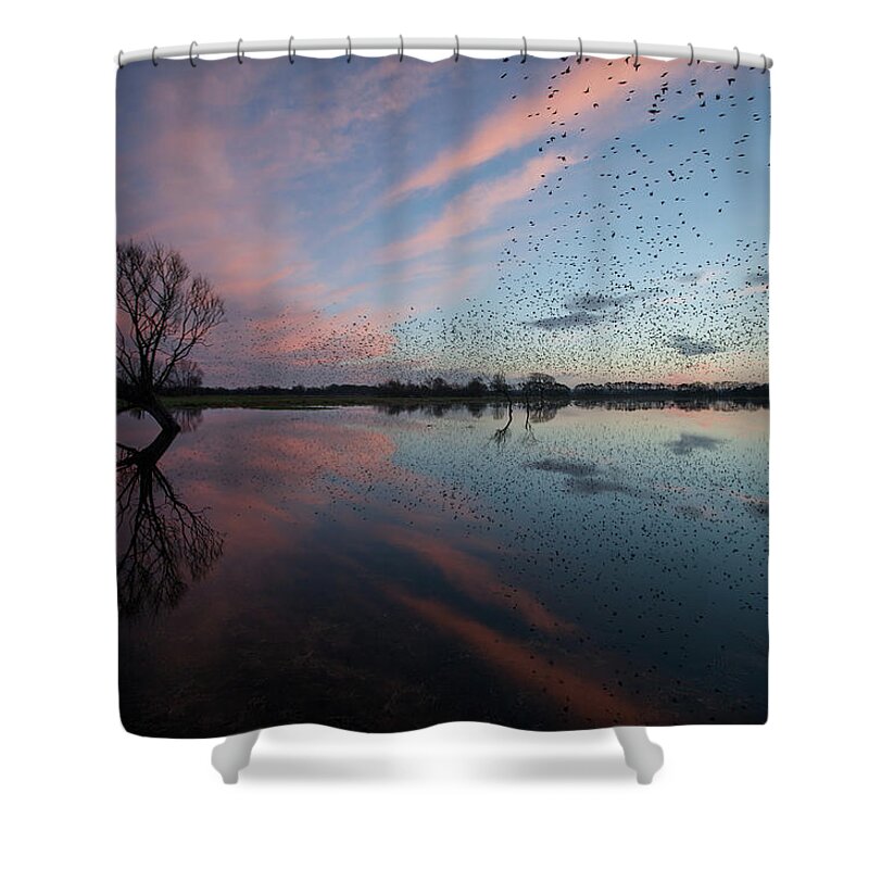Scenics Shower Curtain featuring the photograph Heading For Home by Photograph By Nick Pound