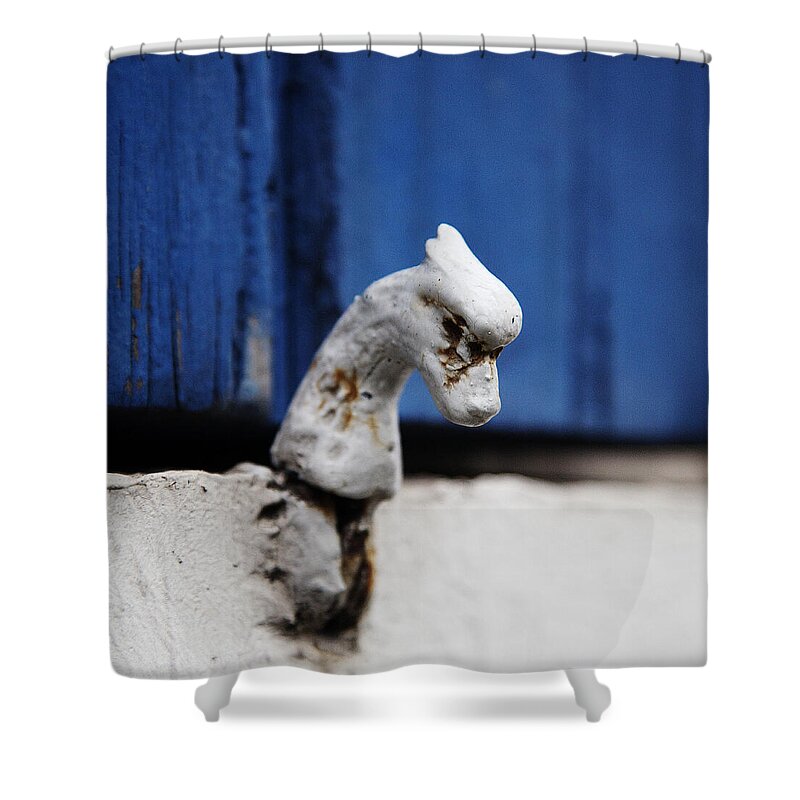 Animal Head Photographs Shower Curtain featuring the photograph Heady Shutter Catch by David Davies