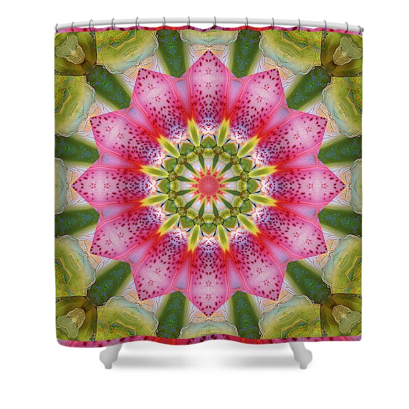 Mandalas Shower Curtain featuring the photograph Healing Mandala 25 by Bell And Todd
