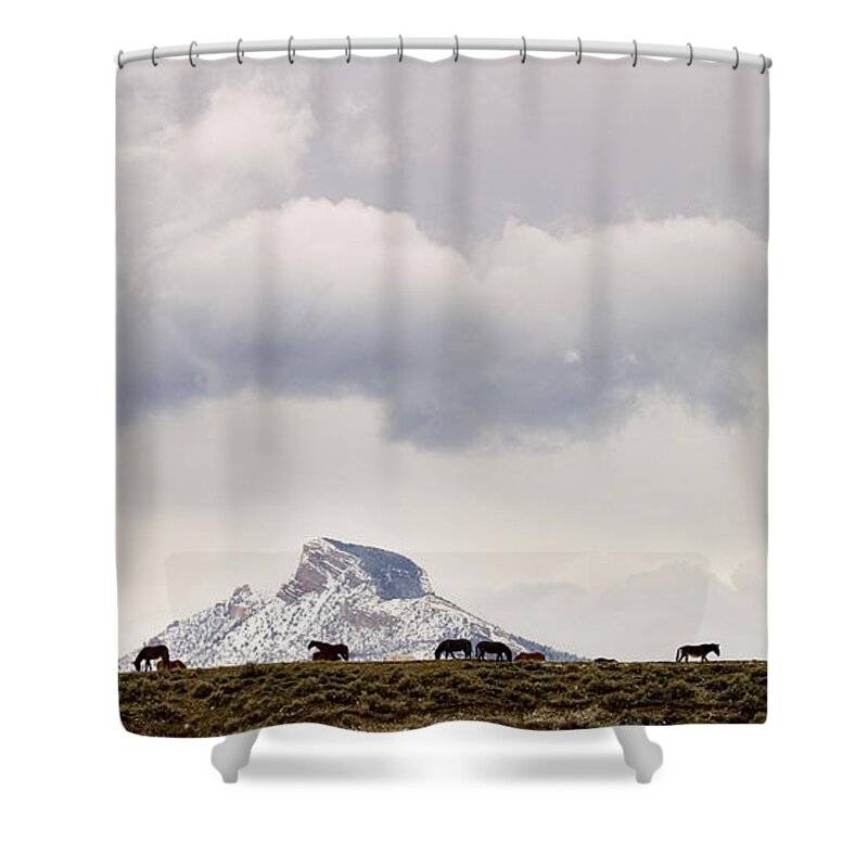 Equidae Equus Caballus Shower Curtain featuring the photograph Heart Mountain Horses by J L Woody Wooden