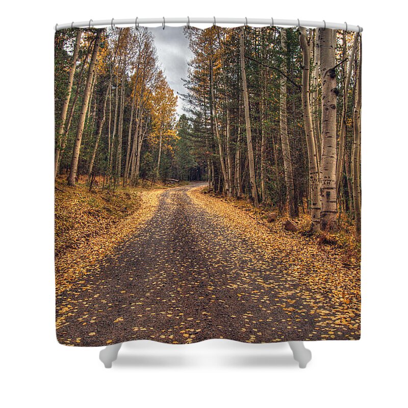 Fall Color; Fall; Aspens; Trees; Aspen Trees; Flagstaff; Arizona; Southwest; Landscapes; Leaves; Fallen Leaves; Hdr Shower Curtain featuring the photograph Hart Prairie Aspens by Tam Ryan