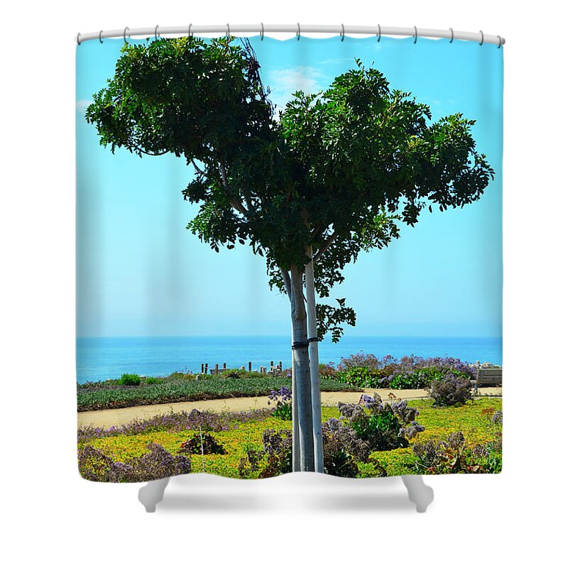 Pismo Beach Shower Curtain featuring the photograph Heart Shaped Tree at Pismo Beach by Debra Thompson